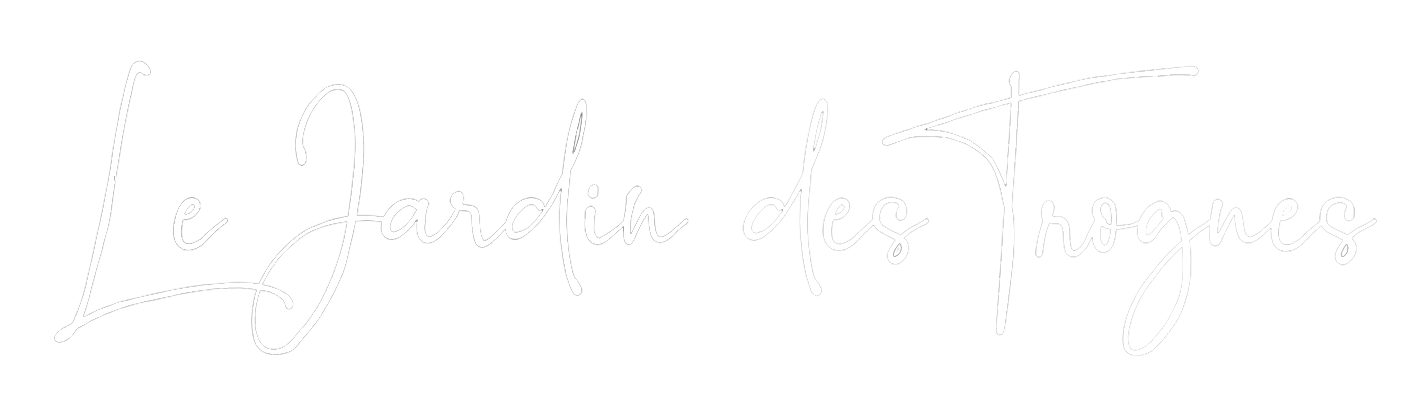 Logo texte